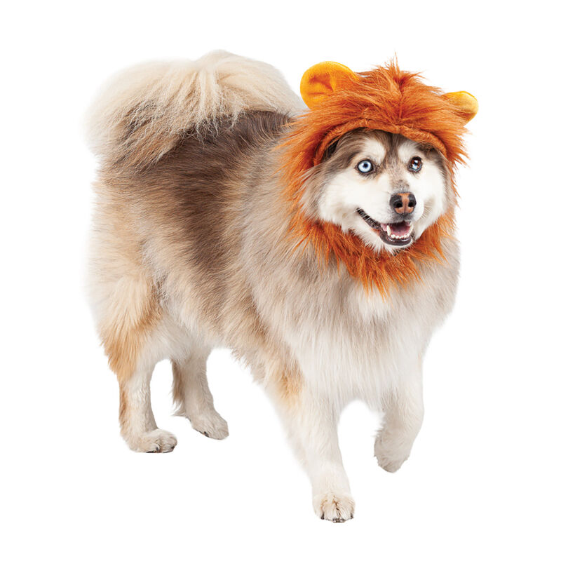 Silver Paw Lion Mane Dog Costume image number null