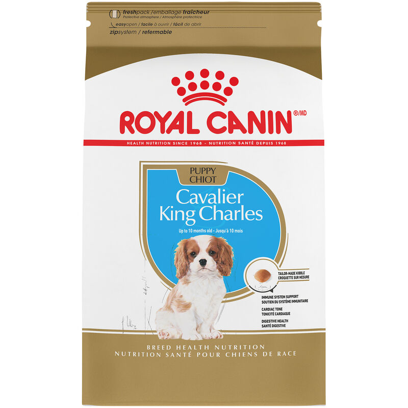 Royal Canin, Puppy, Breed Health -Cavalier King Charles - Dry Dog Food image number null