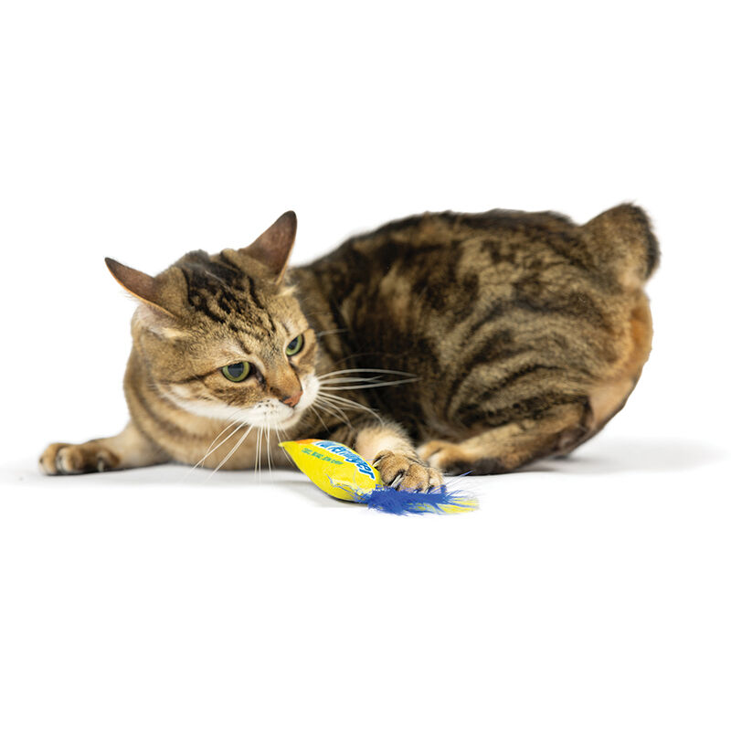 Huxley & Kent, Flufferfinger Cat Toy image number null