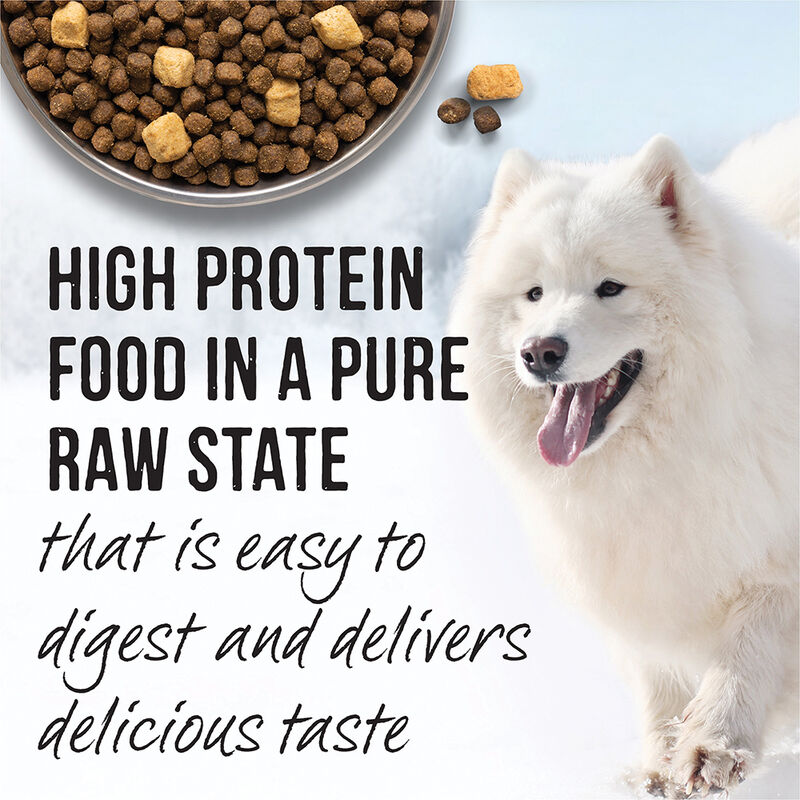 Merrick, Grain Free Backcountry Raw Infused Game Bird - Dry Dog Food image number null