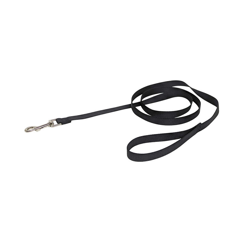 Brigade, Nylon Dog Leash - Black image number null