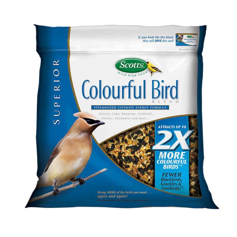 Scott's, Colourful Bird Blend image number null