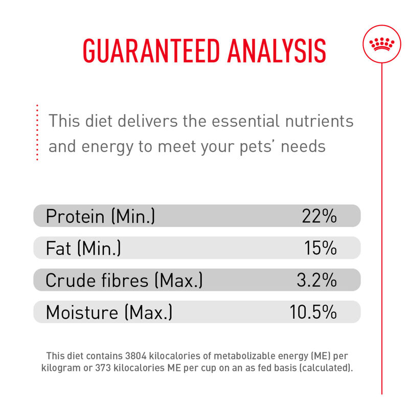 Royal Canin, Size Health Nutrition Medium Sensitive Skin Care - Dry Dog Food image number null