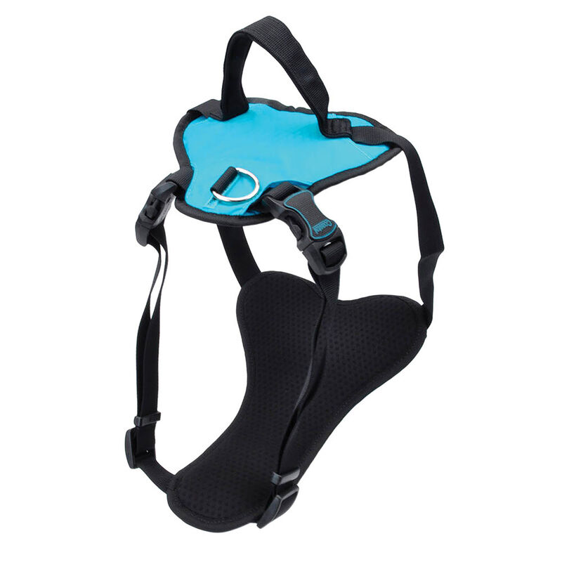 Harness, Aqua, X-Large - 1" x 30"-43" image number null