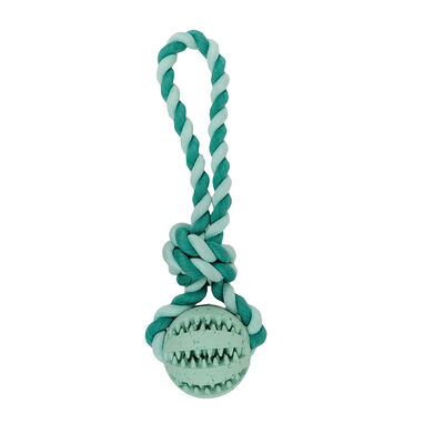 Bozzy Dental Ball with Rope Dog Toy