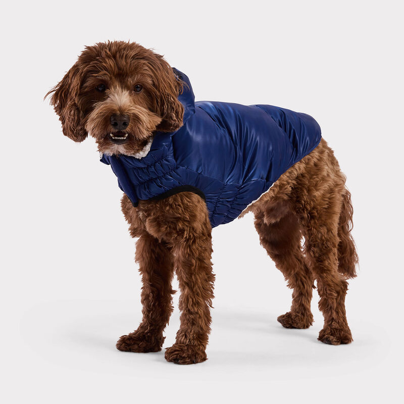 GF Pet, Lunar Glow Parka - Blue image number null