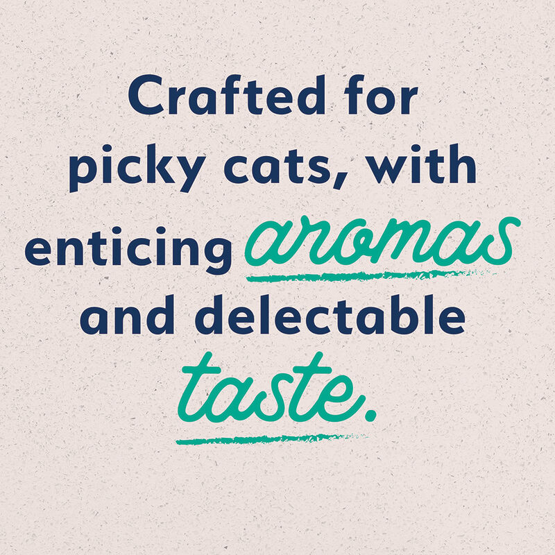 Can, Feline Adult - Ultra - GF Chicken - 156 g - Wet Cat Food image number null
