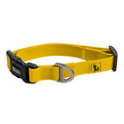 BeOneBreed Silicone Dog Collar - Sunny Yellow image number null
