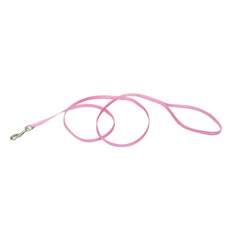 Single-Ply Dog Leash, Pink Bright, X-Small - 3/8" x 6' image number null