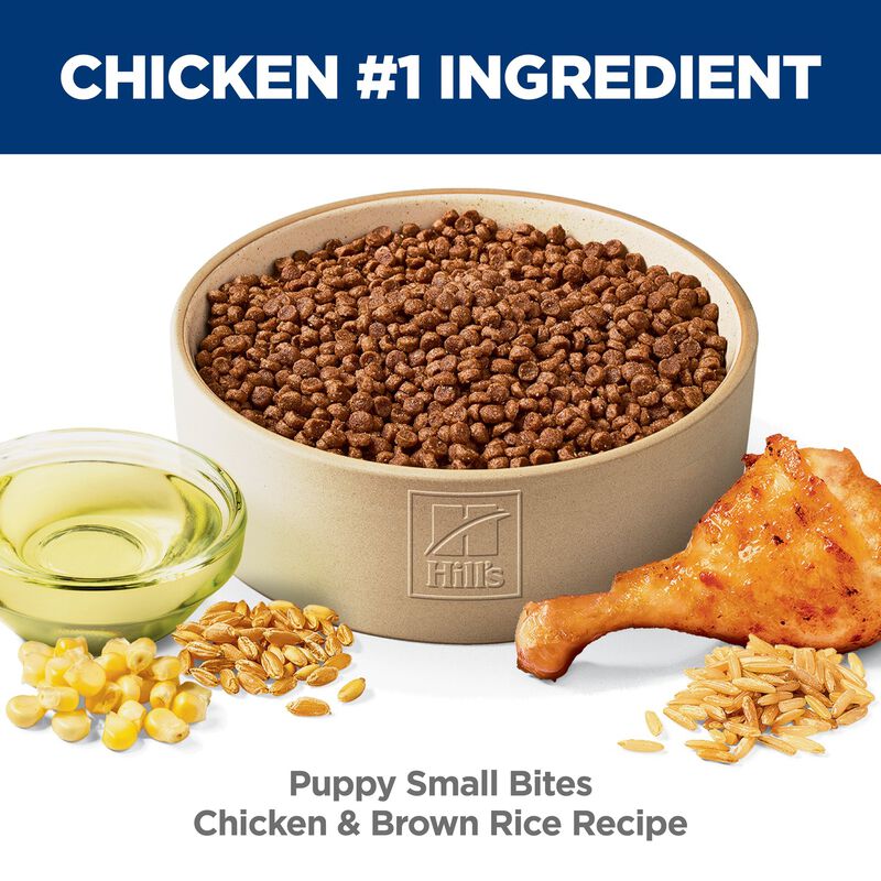 Science Diet, Puppy Small Bites Chicken & Brown Rice Recipe - Dry Puppy Food image number null