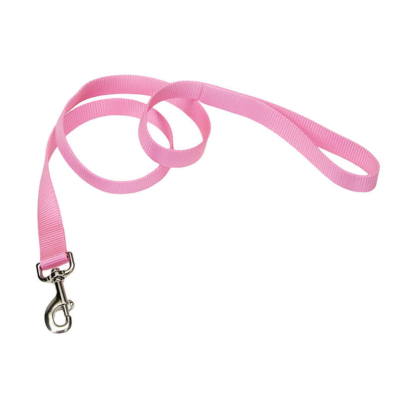 Single-Ply Dog Leash, Pink Bright, X-Small - 3/8" x 6' image number null