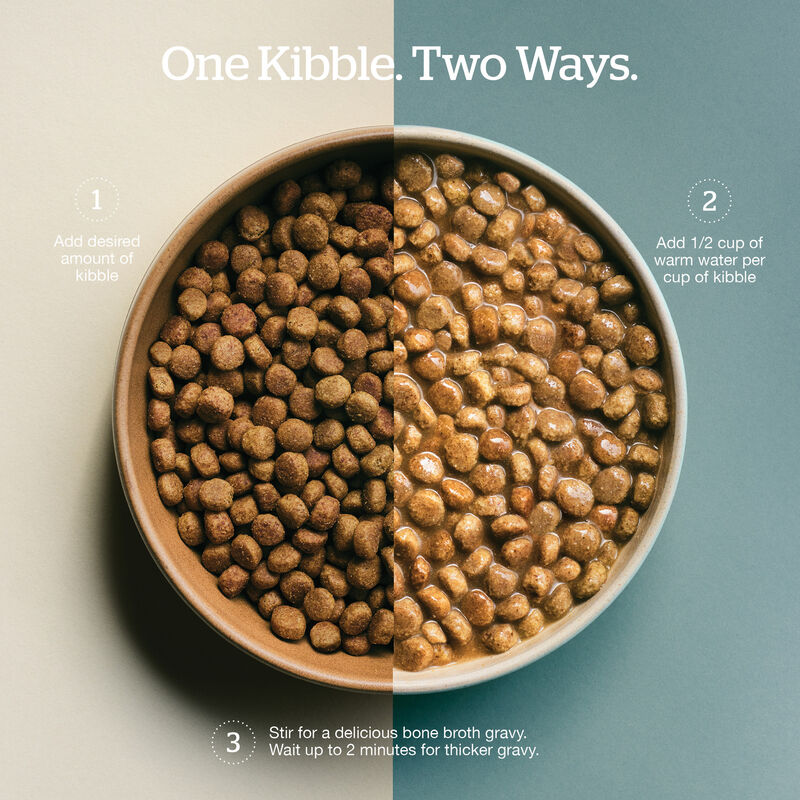 Good Gravy - Beef Coated in Bone Broth - Senior Dry Dog Food image number null
