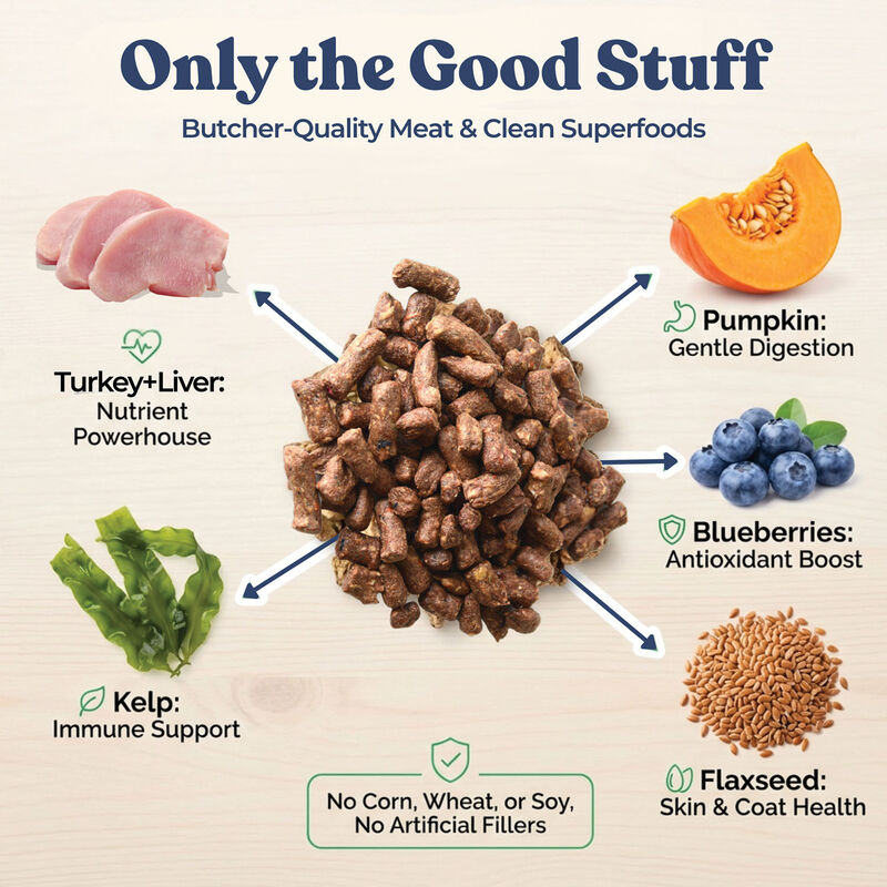 Healthybud, Freeze-Dried Turkey Meal Bites 397g - Freeze Dried Dog Food image number null