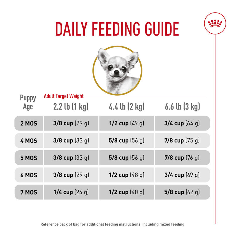 Royal Canin, Breed Health Nutrition Chihuahua Puppy - Dry Dog Food image number null