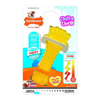 Nylabone, Puppy, Chew Freezer Bone Mini - Regular
