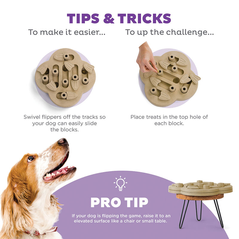 Outward Hound, Nina Ottosson, Hide-N-Slide Treat Puzzle image number null