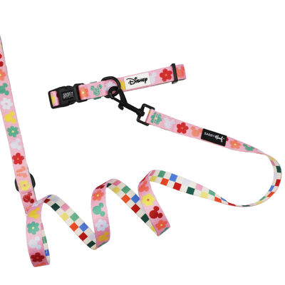 Sassy Woof, Minnie Mickey Collar and Leash Set for Dogs