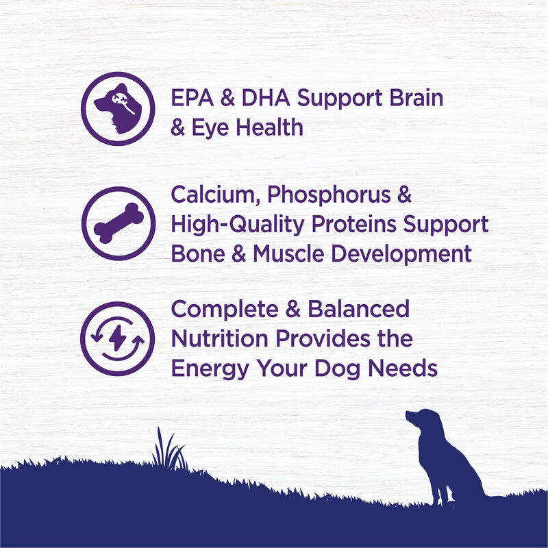 Wellness, Puppy Large Breed - Complete Health - Chicken, Salmon & Brown Rice - 13.6kg - Dry Dog Food image number null