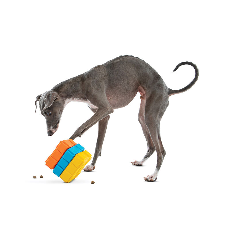 GURU, Dog X-Cube image number null