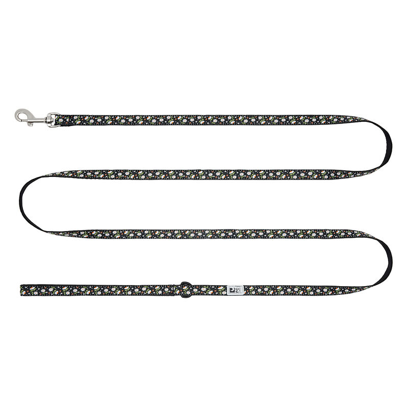 RC Pets, Petite Leash - Daisies - 1/2" x 6' image number null