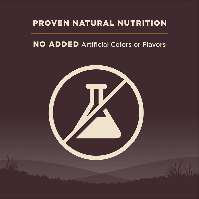 Wellness, Core, Grain Free Wild Game - 9.98 kg - Dry Dog Food image number null