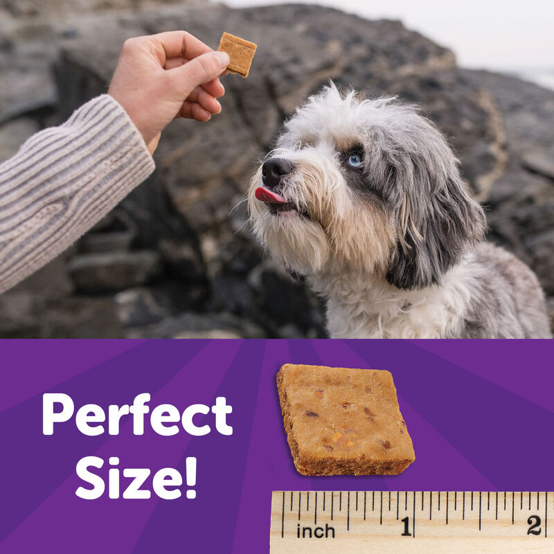 Wellness, Wellbites, Turkey & Duck Soft Dog Treats - 6 oz - Dog Treat image number null