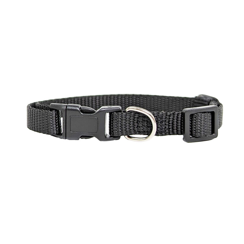 Brigade, Nylon Dog Collar - Black image number null