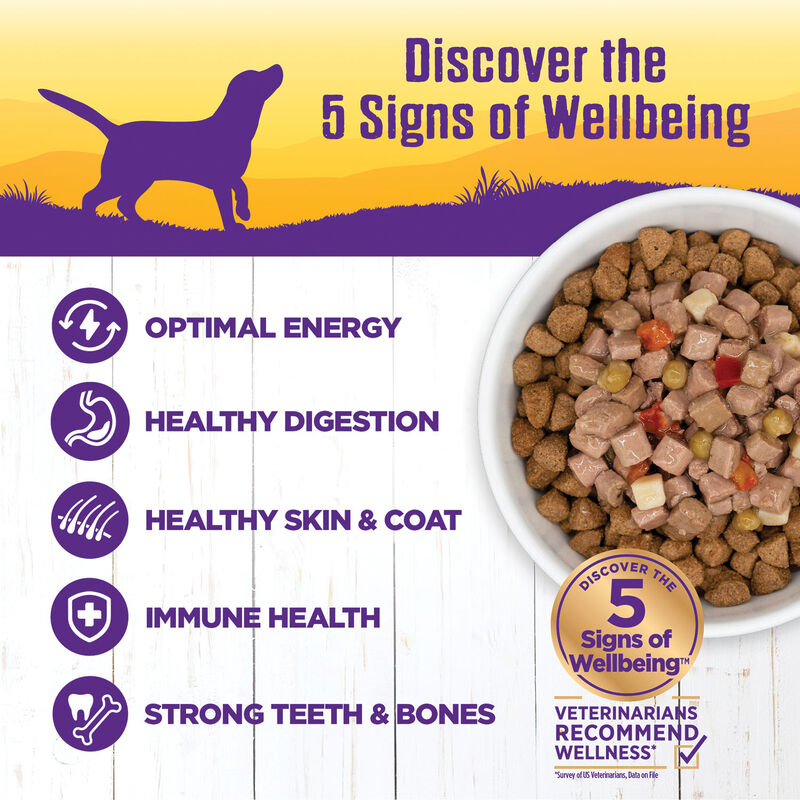 Wellness, Canned Dog Food, Chunks & Gravy, Chicken Stew with Carrots & Potatoes - 12.5 oz - Wet Dog  image number null