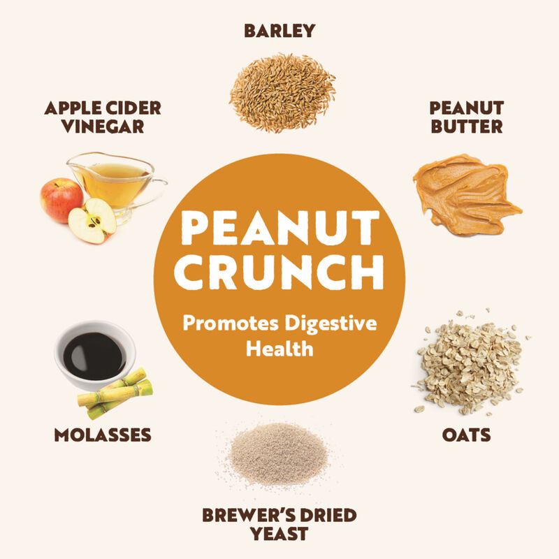 Northern Biscuit, Wheat Free Peanut Crunch! - 1.36 kg - Dog Biscuit image number null