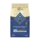 Blue Buffalo, Adult - LP - Chicken - Dry Dog Food image number null