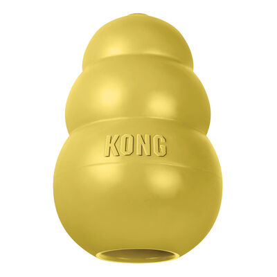 KONG Classic Dog Chew Toy - Gold