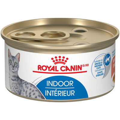 Royal Canin, Feline Health Nutrition Indoor Adult Morsels in Gravy - 85 g - Wet Cat Food