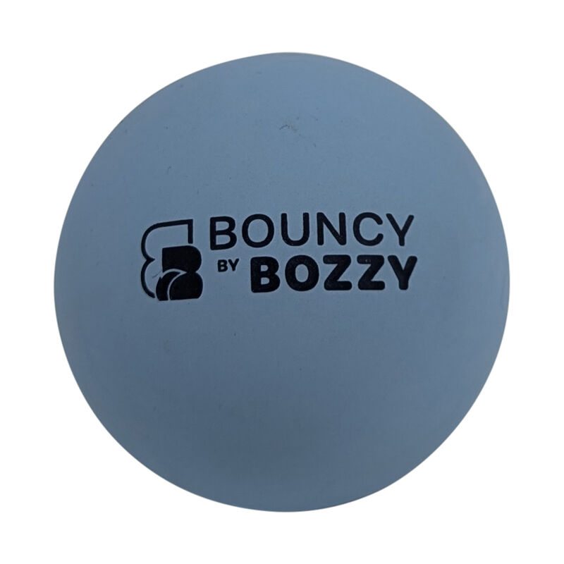 Bozzy Bouncy Ball for Dogs image number null
