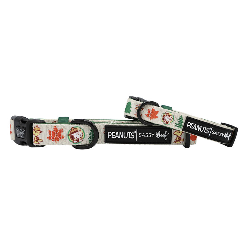 Sassy Woof, Peanut Camping Collar and Leash Set for Dogs image number null