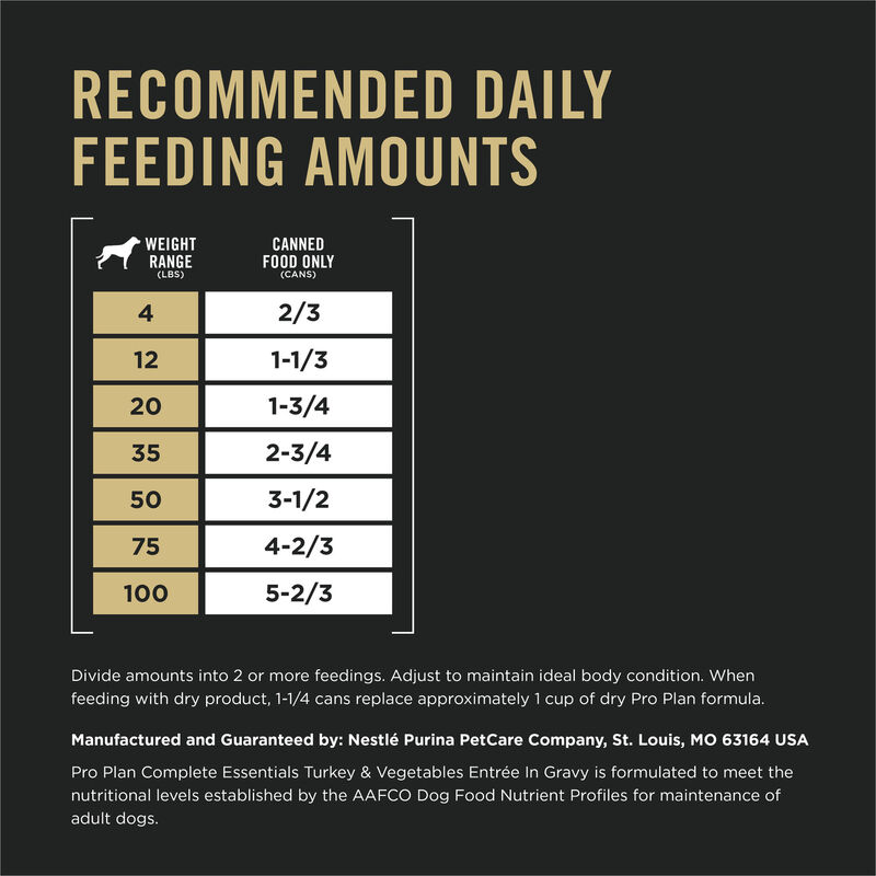 Pro Plan, Adult Complete Essentials - Turkey & Vegetables - 368 g - Wet Dog Food image number null