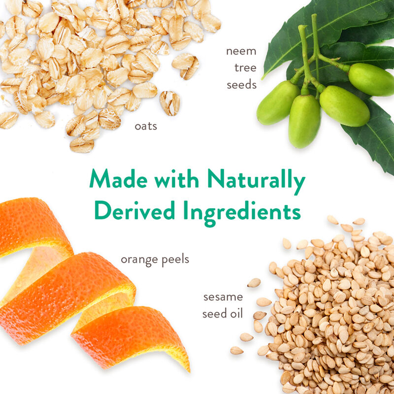 Tropiclean, Neem & Citrus Shampoo image number null