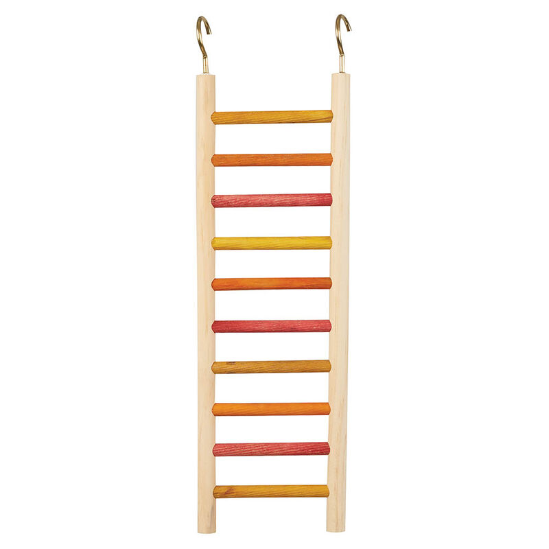 Parakeet Ladder - 4x12" image number null