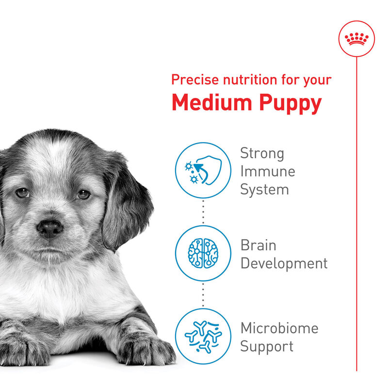 Royal Canin, Size Health Nutrition - Medium Puppy - Dry Dog Food image number null