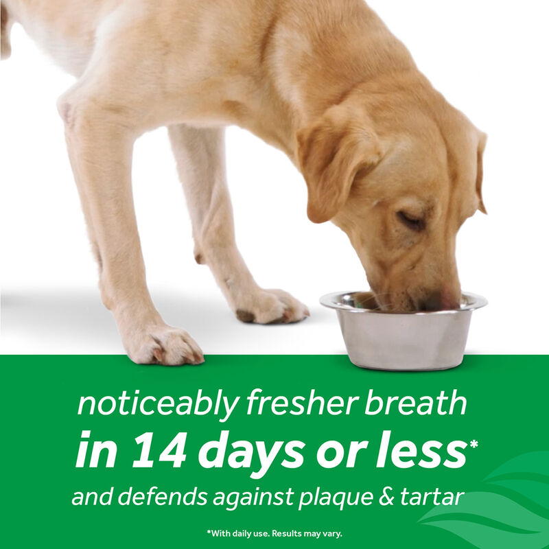 Tropiclean, Dental Fresh Breath with Hip & Joint - 16 oz image number null