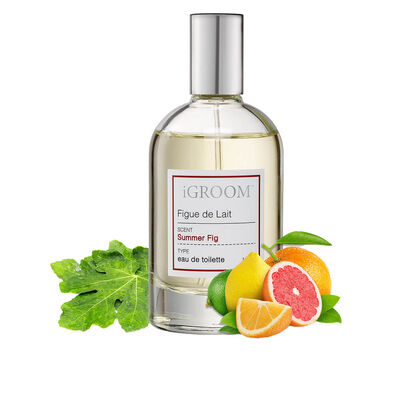 iGroom, Figue de Lait Perfume - 100 ml