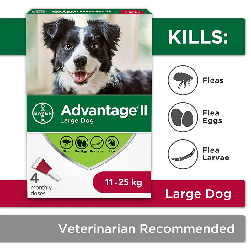Advantage II, Large Dog Flea Treatment & Protection, 11-25kg image number null
