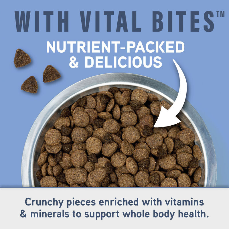 Natural Balance, Specialized Nutrition - Joint & Muscle Health Chicken & Oatmeal Formula - Dry Dog F image number null