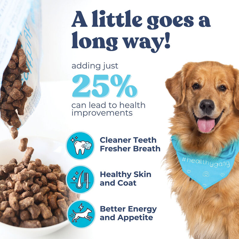 Healthybud, Freeze-Dried Turkey Meal Bites 397g - Freeze Dried Dog Food image number null