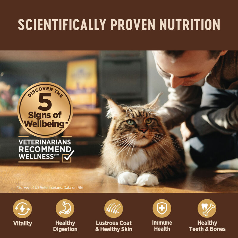 Wellness, Pouch, Feline Adult - Core Grain Free Tiny Tasters Pate Variety Pack - Land - 50 g - 12 pk image number null
