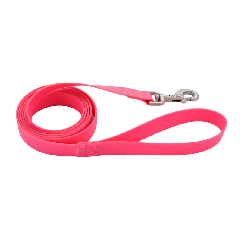 Waterproof Leash, Fuscia, Medium/Large - 1" x 6' image number null