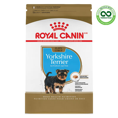 Royal Canin, Breed Health Nutrition Yorkshire Terrier Puppy - Dry Dog Food