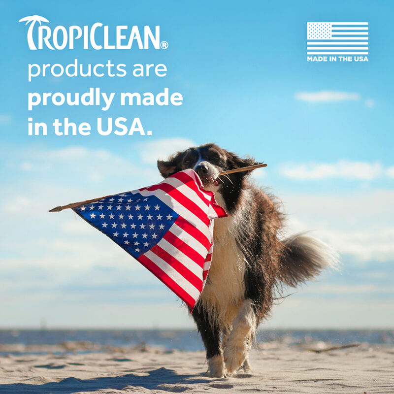 Tropiclean, Oatmeal & Tea Tree Shampoo image number null