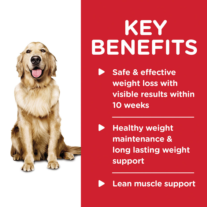 Science Diet, Adult Perfect Weight Hearty Vegetable & Chicken Stew Canned Dog Food for healthy weigh image number null