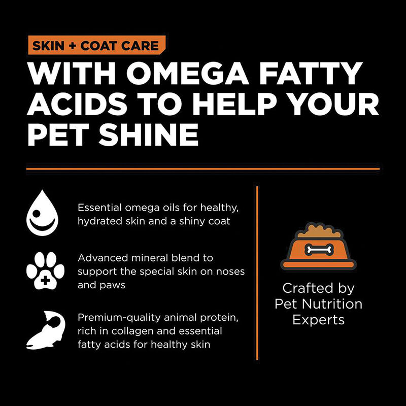 GO! SOLUTIONS SKIN + COAT CARE Grain Free Salmon Recipe for cats image number null