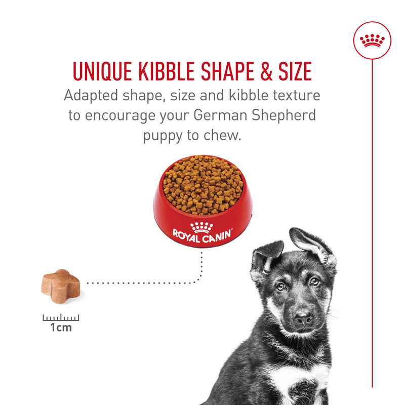 Royal Canin, Breed Health Nutrition German Shepherd Puppy - Dry Dog Food image number null